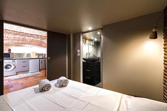 Apartament Duplex Climatise Dans Un Monument Historique Tuluza Zewnętrze zdjęcie